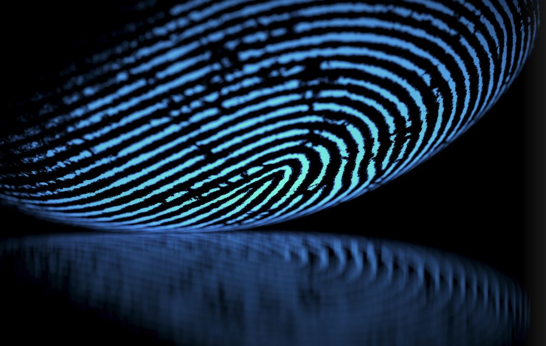 Blue Fingerprint