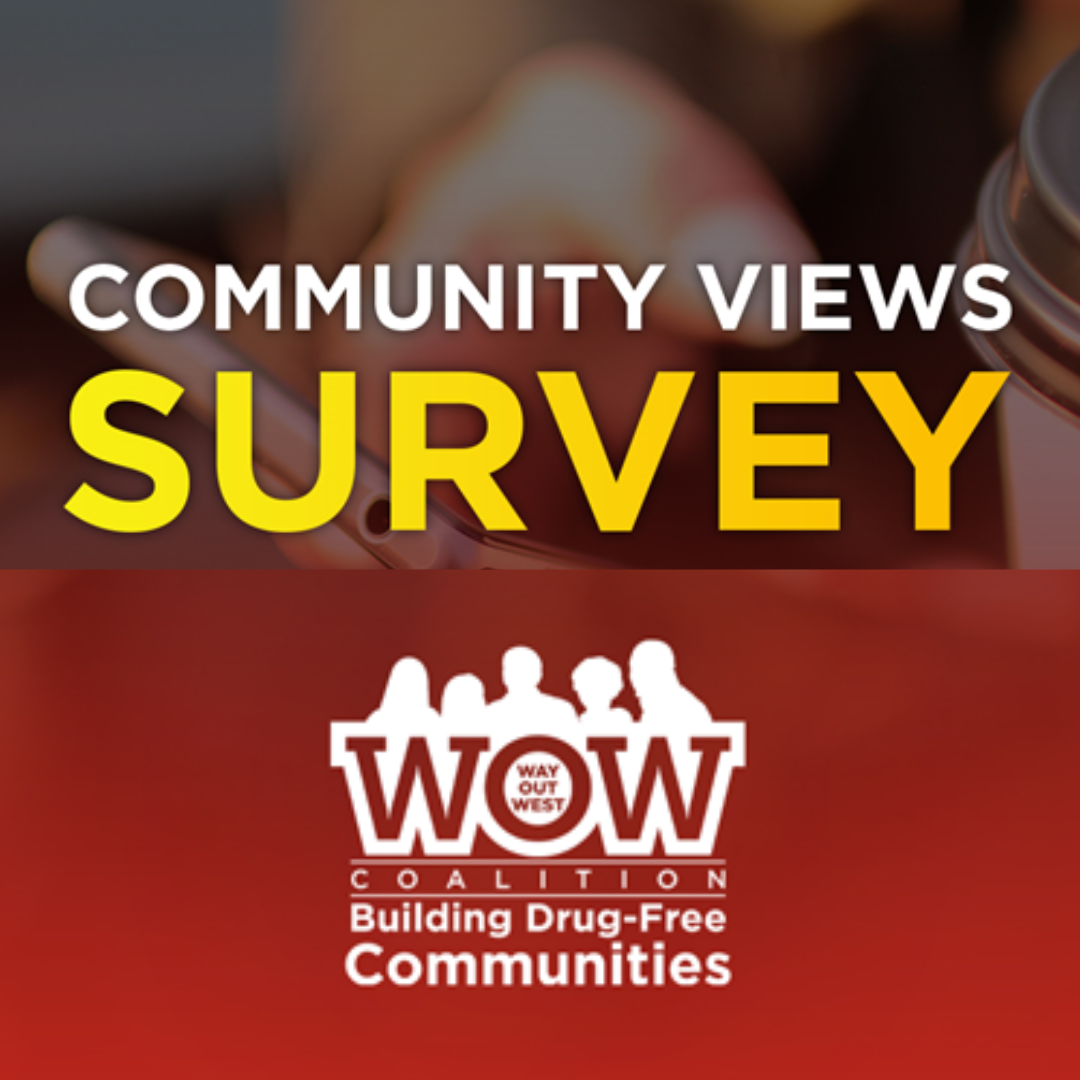 wow community views survey