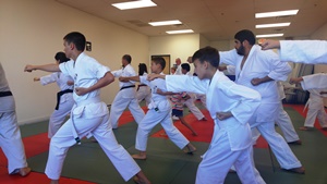 Goju Ryu Karate